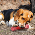 Jouet de chien en caoutchouc en caoutchouc en caoutchouc interactif jouet